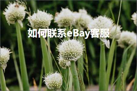 璺ㄥ鐢靛晢鐭ヨ瘑:濡備綍鑱旂郴eBay瀹㈡湇